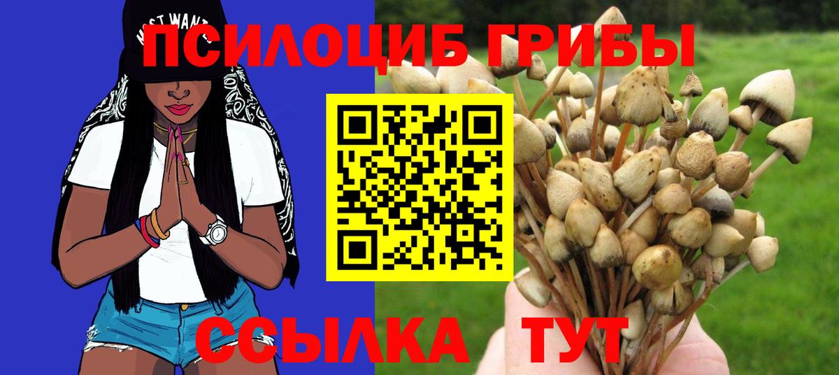 Галлюциногенные грибы GOLDEN TEACHER Хабаровск